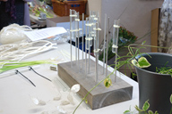 Wood, glass tubes, plants are all design elements