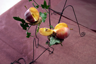 Waxed fruits and plant arrangement