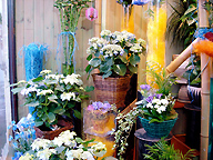 Flower Shop display:  In shop training course